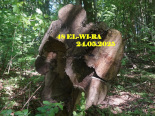 48-elblaski-wiosenny-rajd-el-wi-ra