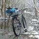 Wycieczka zimowa - relacja rowerowo-ornitologiczna